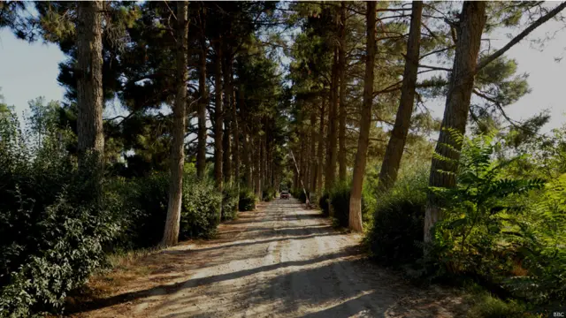 "جنگل‌باغ" یکی از مکان های تفریحی در شبرغان که در زمان ظاهرشاه ساخته شده است.