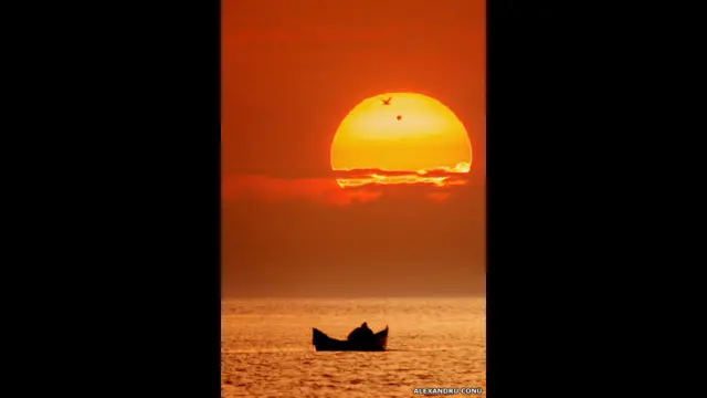 مقابلے کے فاتح کو 1500 پاؤنڈ کی رقم دی جائے گی، جب کہ سال کے نوجوان فوٹوگرافر کا انعام جیتنے والے کو 500 پاؤنڈ دیے جائیں گے۔ الیگزینڈر کونو کی اس تصویر میں سیارہ زہرہ سورج کے آگے سے گزر رہا ہے۔ یہ تصویر بحیرۂ اسود میں لی گئی تھی۔ 