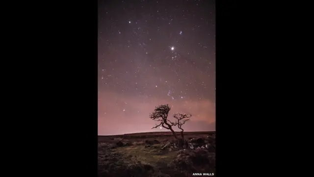 جنوبی برطانیہ کے ڈارٹ مور نیشنل پارک میں یخ بستہ ہواؤں کے تھپیڑے کھاتے ہوئے ایک درخت کے پیچھے ستاروں کے جھرمٹ نظر آ رہے ہیں۔ 