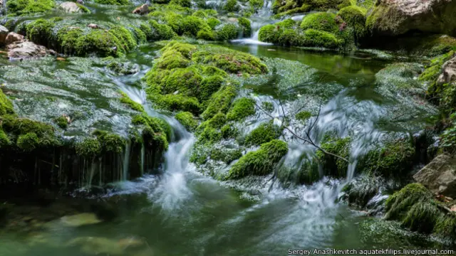 Усі фото: Сергій Анашкевич, http://aquatek-filips.livejournal.com