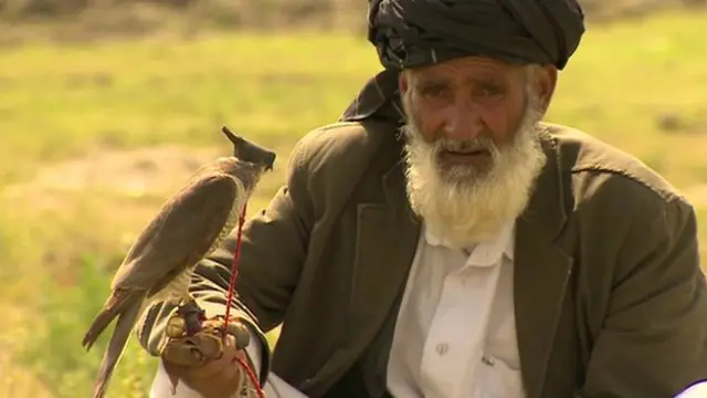 پکڑی جانے والی چڑیوں کی پالتو پرندوں اور گوشت کے لیے تجارت ہوتی ہے