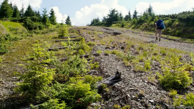 Цією дорогою пролягає кордон між Україною та ЄС. Зліва у траві лежать спиляні стовпці, які позначали кінець території СРСР.