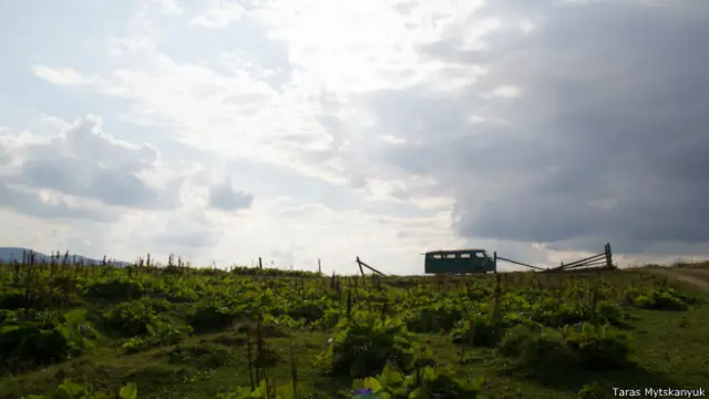 Всі фото: Тарас Мицканюк.