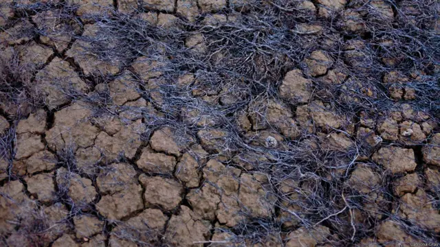 Kuruyan göl tabanı