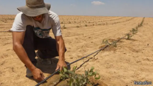 Riego en el desierto