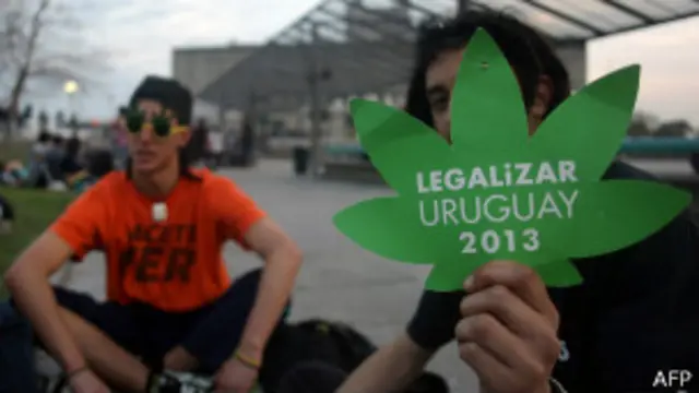 கஞ்சா அனுமதி மற்ற மோசமான போதைப் பொருட்களைத் தடுக்கும் என்று அரசு வாதிடுகிறது