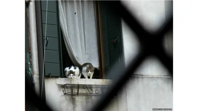 शहरी जिंदगी, बीबीसी पाठकों की भेजी तस्वीरें