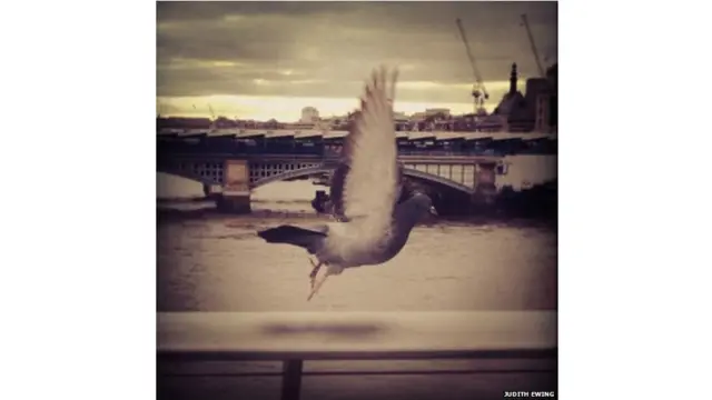 शहरी जिंदगी, बीबीसी पाठकों की भेजी तस्वीरें