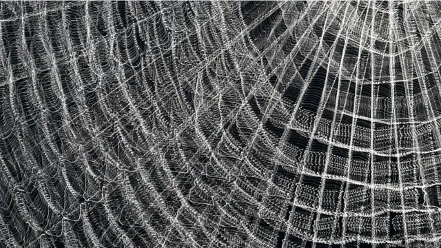 Wild Photos traz imagens do mundo todo e fotógrafos para workshops sobre fotos de natureza.