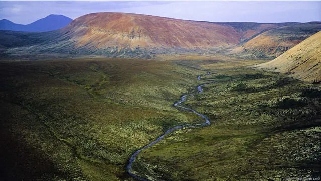 Wild Photos traz imagens do mundo todo e fotógrafos para workshops sobre fotos de natureza.