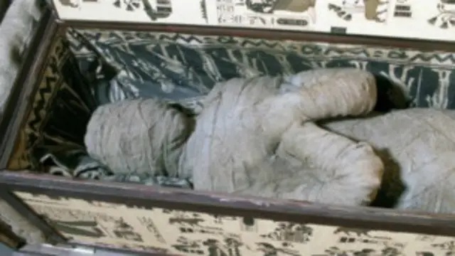 अभी ये स्पष्ट नहीं हो पाया है कि पाई गई वस्तु ममी ही है