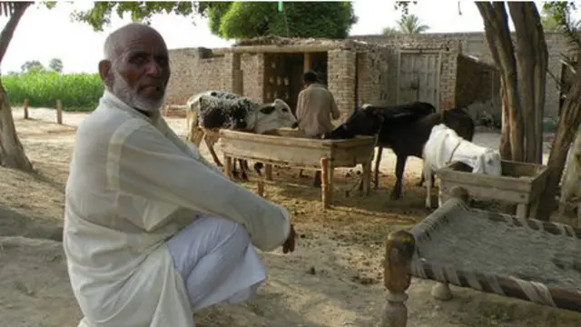 वली दीन, पाकिस्तान