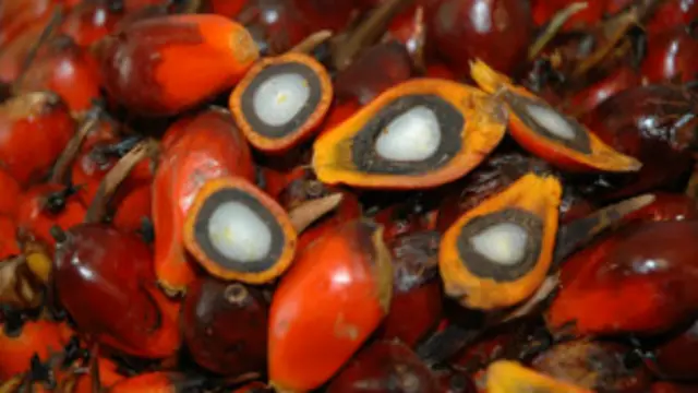 आलूबुखारा का सेवन भी है बेहतर 