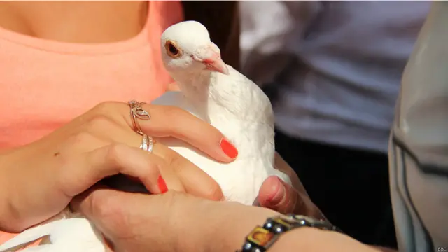 Згодом партійним активістам роздали голубів, політ яких мав символізувати швидке звільнення пані Тимошенко.