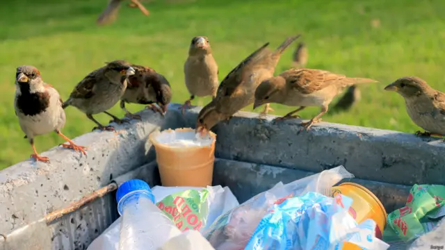 Фото: Андрей