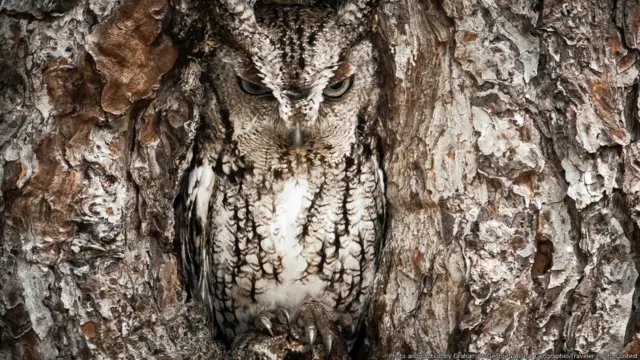 Brasileiro vence Concurso de Fotos de Viajantes da National Geographic 2013 | Foto: Graham McGeorge