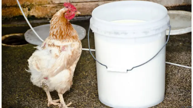 Фото: Юрий Немкин