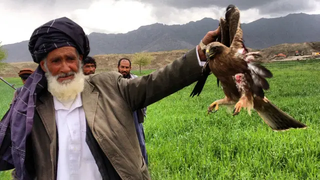 د خپل اقتصادي او بوختيا حالت له مخې ښکاريان هم د غوښو او هم د سوداګرۍ لپاره ښکار کوي.