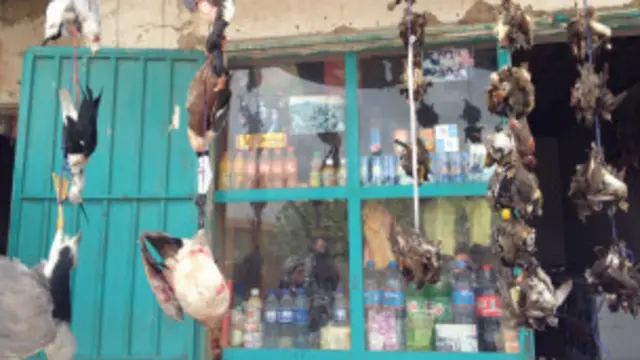 ښکار شوي مرغان پلور لپاره په دکانونو کې وي