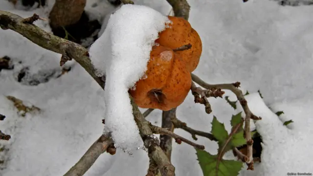 Фото: Галина Берникова