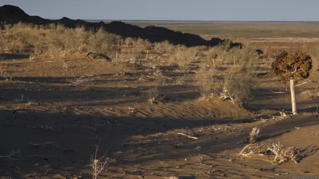 Қизилқум Амударё ва Сирдарё орасида жойлашган. 