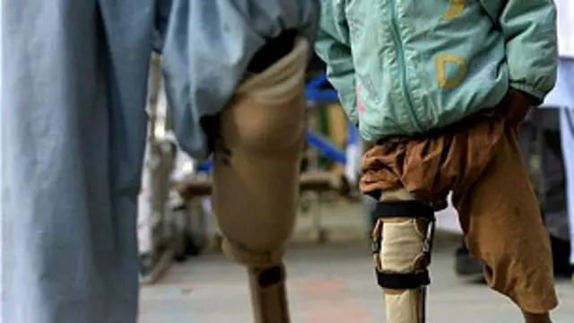 يادې کميټې د سويډن له حکومته هم غوښتي چې دا ستونزه د اروپايي ټولنې په غونډه کې مطرح کړي.