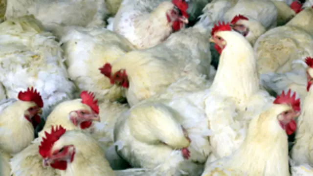 الخبراء ما زالوا يؤكدون ان وقوع هذه الحالة الواحدة لا يعني أن الفيروس قد اكتسب القدرة على الانتشار بسهولة