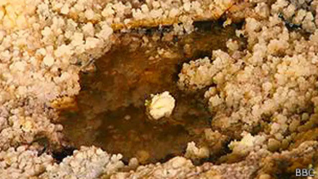 खान, एलियन, जीवन