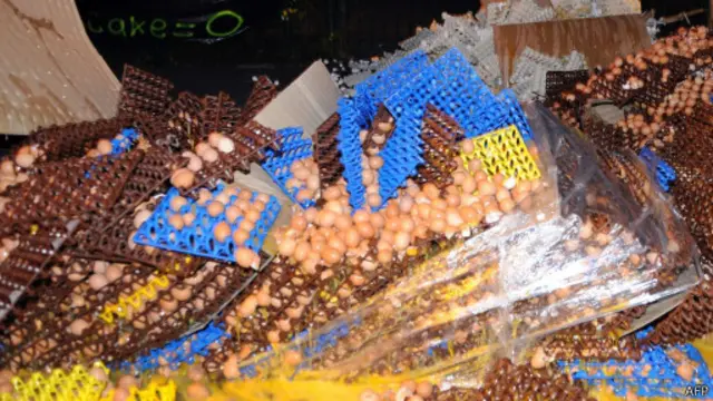 Telur yang dimusnahkan