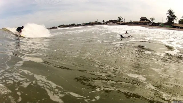 Imágenes de Myles Estey