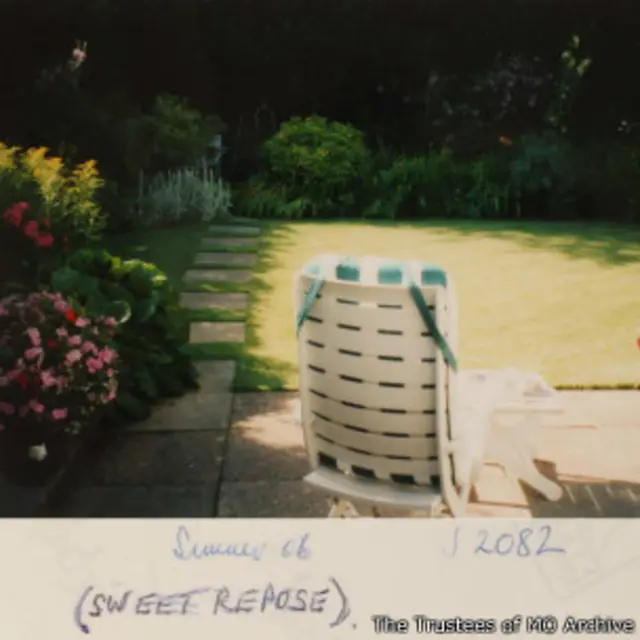 фото собственного сада