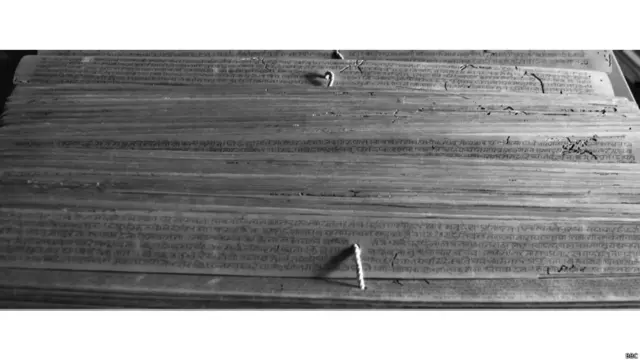 पुस्तकालय में कई दुर्लभ पांडुलिपियां भी हैं जो 300 साल तक पुरानी हैं और यहां 1892 से रखी हैं. 