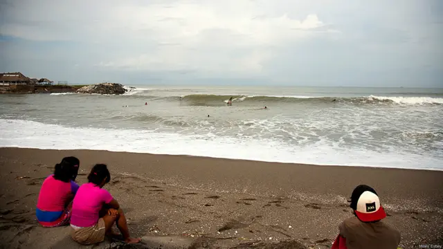 Imágenes de Myles Estey