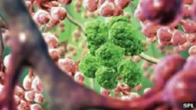 इस शोध से कैंसर के इलाज की दिशा में आगे बढ़ने में मदद मिलने की आशा है