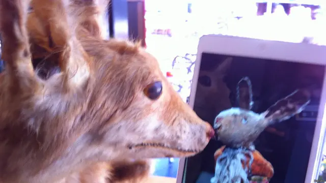 Фото: Дмитрий, Нидерланды.