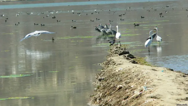 کول حشمت خان کابل