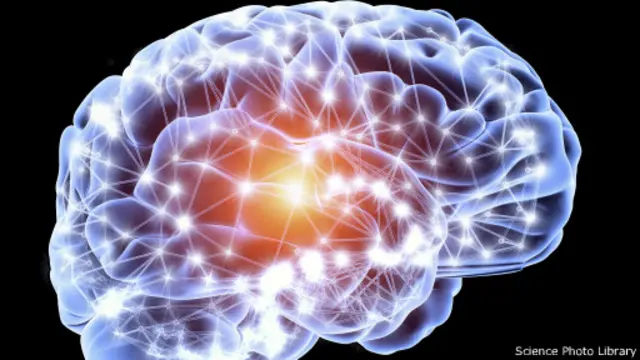 Человеческий мозг