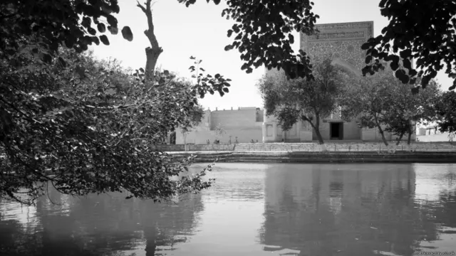 Labi-hovuz bo‘yidagi tut daraxtlari ko‘p yuz yillik tarixga ega.