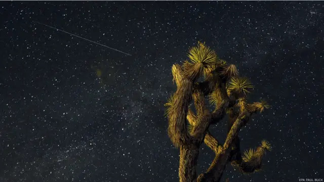 Фотографії зоряного дощу з Персеїд