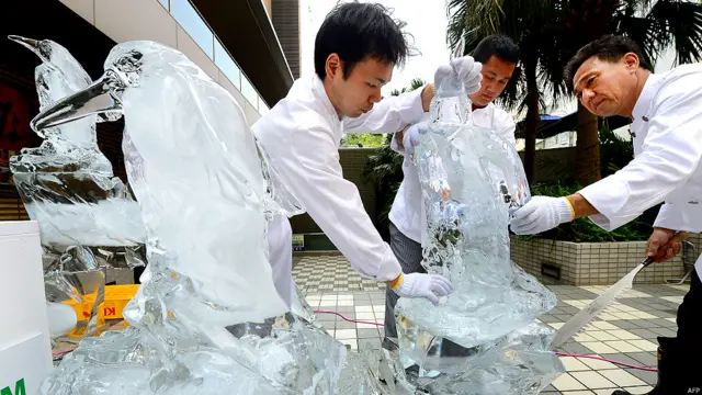 अफ़्रीका पेंग्विन, टोक्यो, जापान, गर्मी, पिक्चर गैलरी