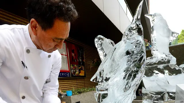 अफ़्रीका पेंग्विन, टोक्यो, जापान, गर्मी, पिक्चर गैलरी