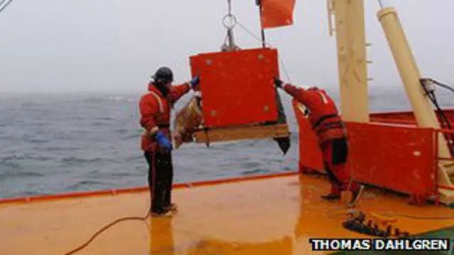 Plataforma de la investigación antártica