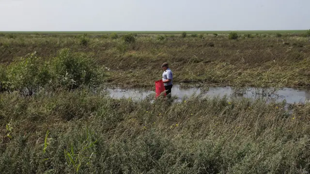 Фото: Иван Белозёров