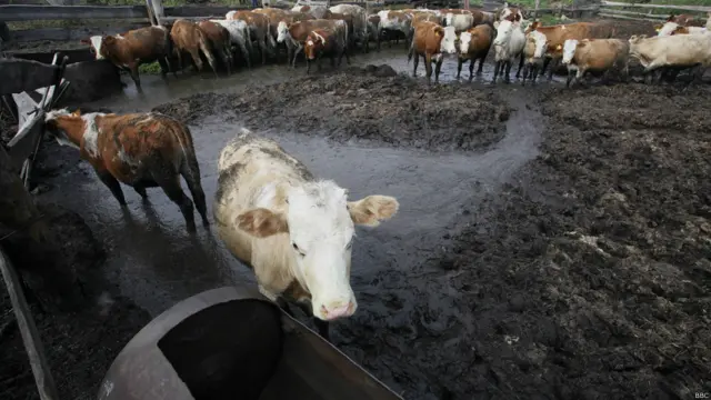 Фото: Иван Белозёров