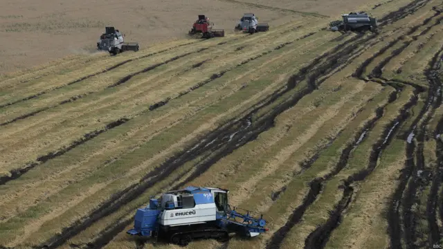 Фото: Иван Белозёров
