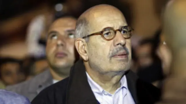 محمد البرادعی نے نے تین جولائی کومحمد مرسی کو  اقتدار سے ہٹانے کے فوج کے سربراہ کے اقدام کی حمایت کی تھی