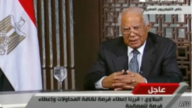 埃及过渡政府总理