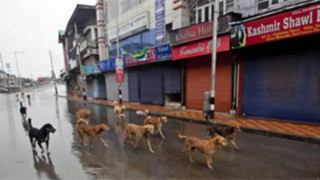 کشمیر کے کئی علاقوں میں کرفیو نافذ ہے جبکہ ہڑتال کے اعلان کے بعد عام زندگی معطل ہے