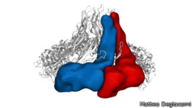 Modelo molecular del poro de proteínas