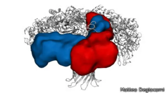 Modelo molecular del arma bacteriana